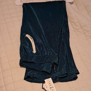 Two 2 Fly Brand Teal  Pants